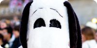 Bild nummer 17010