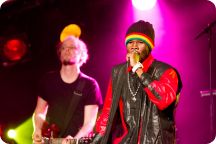 Öltält: Reggae-kväll