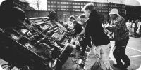 Bild nummer 40451