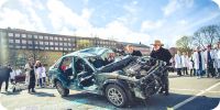 Bild nummer 40515
