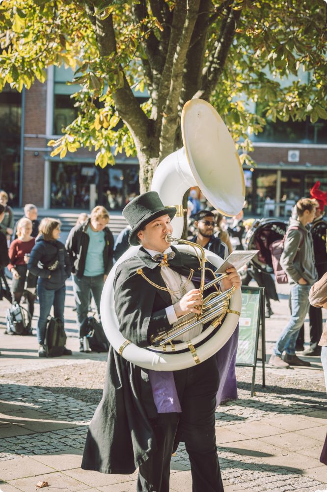 Höstens mösspåtagning
