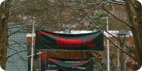 Bild nummer 81023