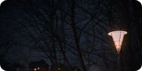 Bild nummer 89624