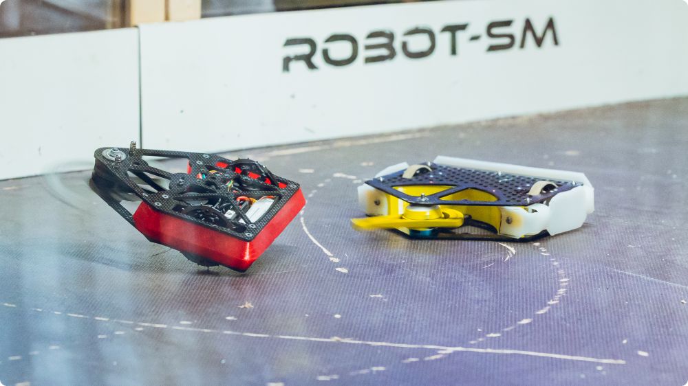 Robot-SM 2025