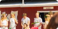 Bild nummer 90464