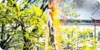 Bild nummer 90473