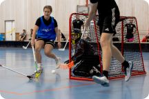 Akademiska Spelen - Innebandy