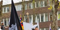 Bild nummer 96201