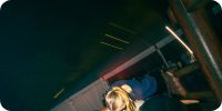 Bild nummer 96431