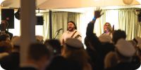 Bild nummer 97129