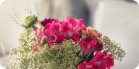 Bild nummer 97147