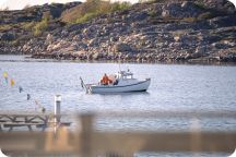 Vårbalen