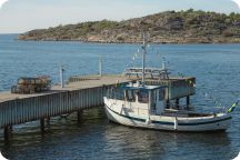 Vårbalen