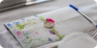 Bild nummer 97169
