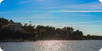 Bild nummer 97250