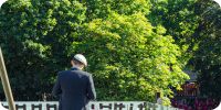 Bild nummer 97447